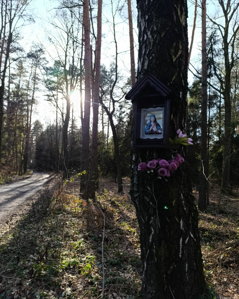 Pętla Macierzanką - Gostyń