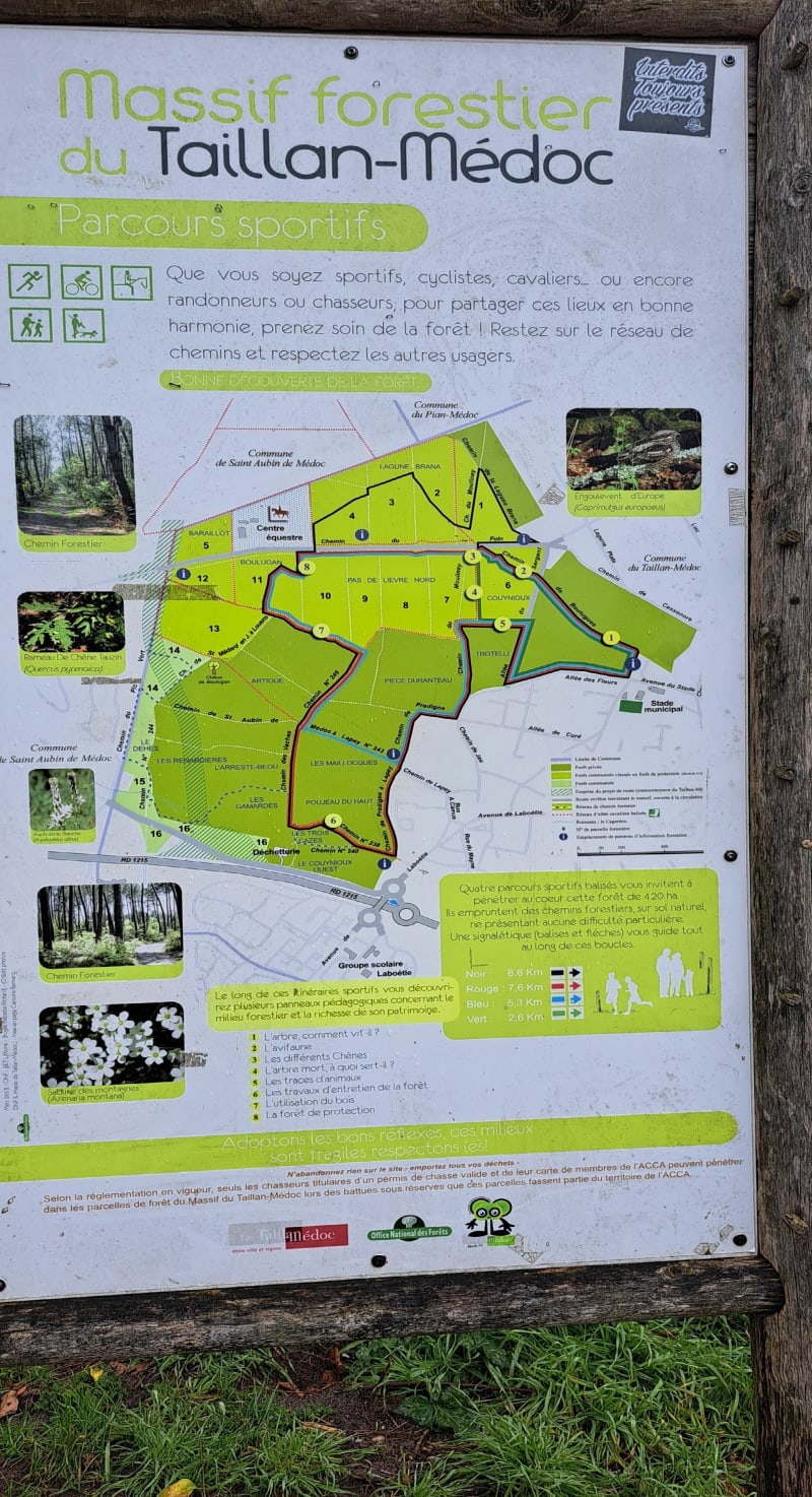 Circuit noir en forêt de Le Taillan-Médoc - Le Taillan-Médoc