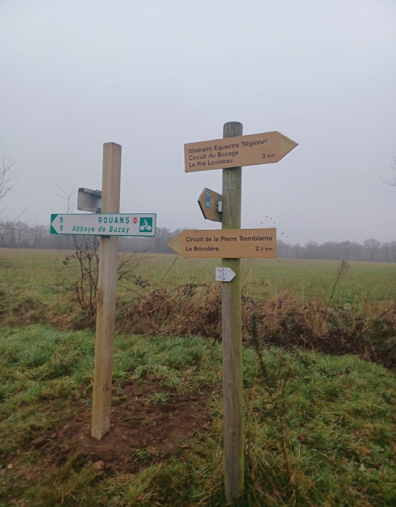 Circuit de la Cossonière et l'Ouche Chantereau - Le Pellerin