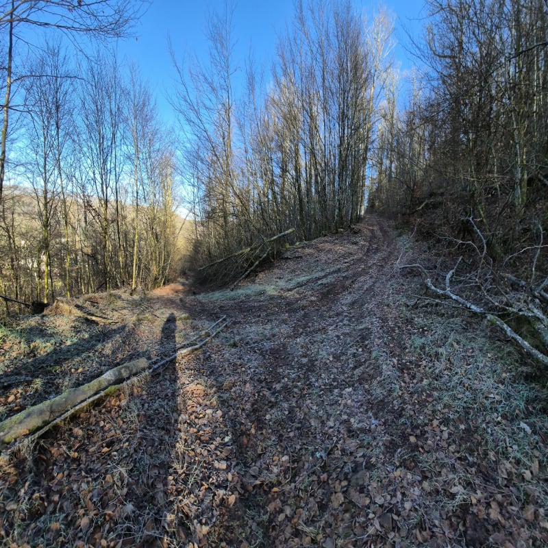 Le Grand Ban à Raddon - Raddon-et-Chapendu