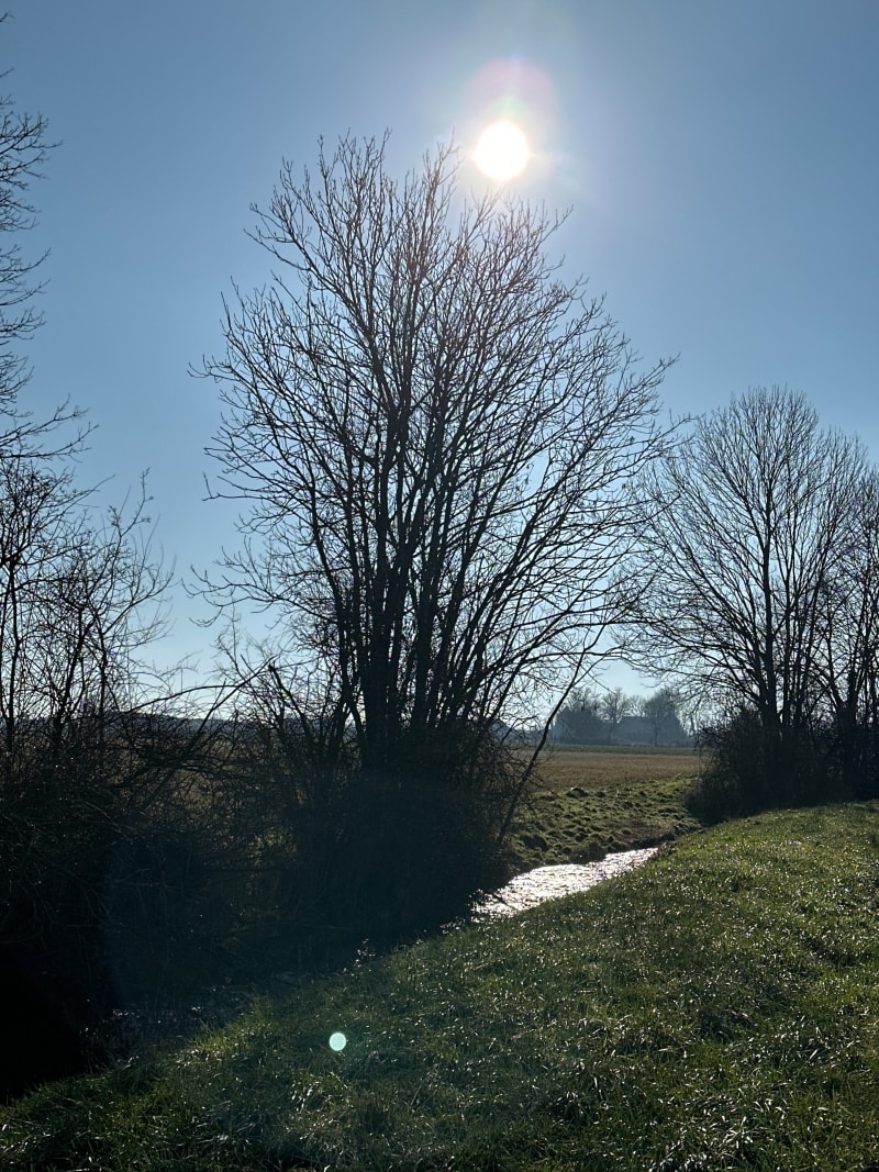 Le petit tour des Varennes à Trévilly - Guillon-Terre-Plaine