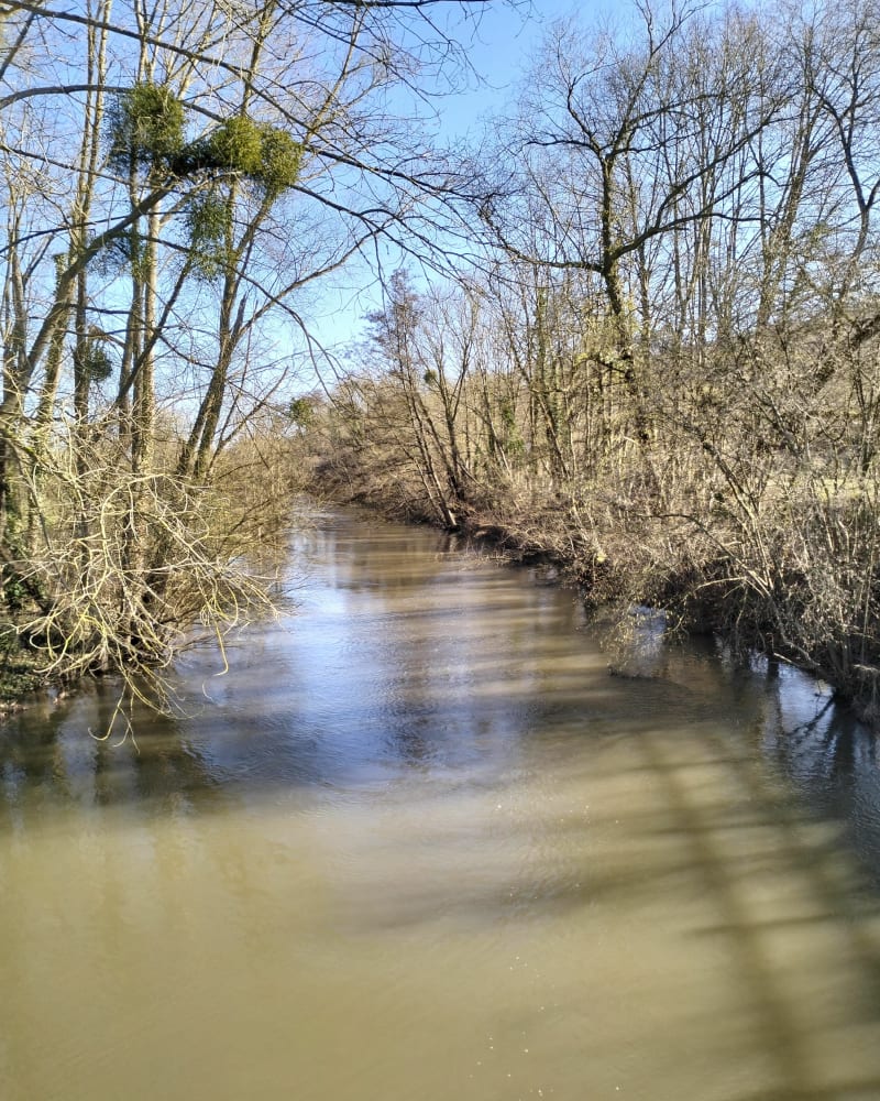 Chemin autour de Braine, par la Pépinière - Braine