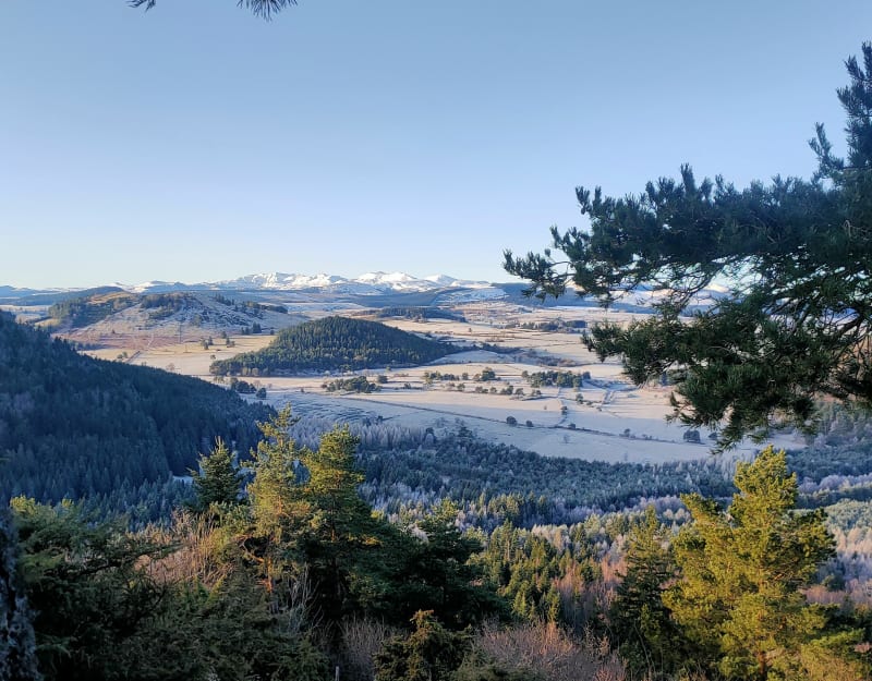 Du Puy de Vichatel à l'étang de Montlosier - Aydat