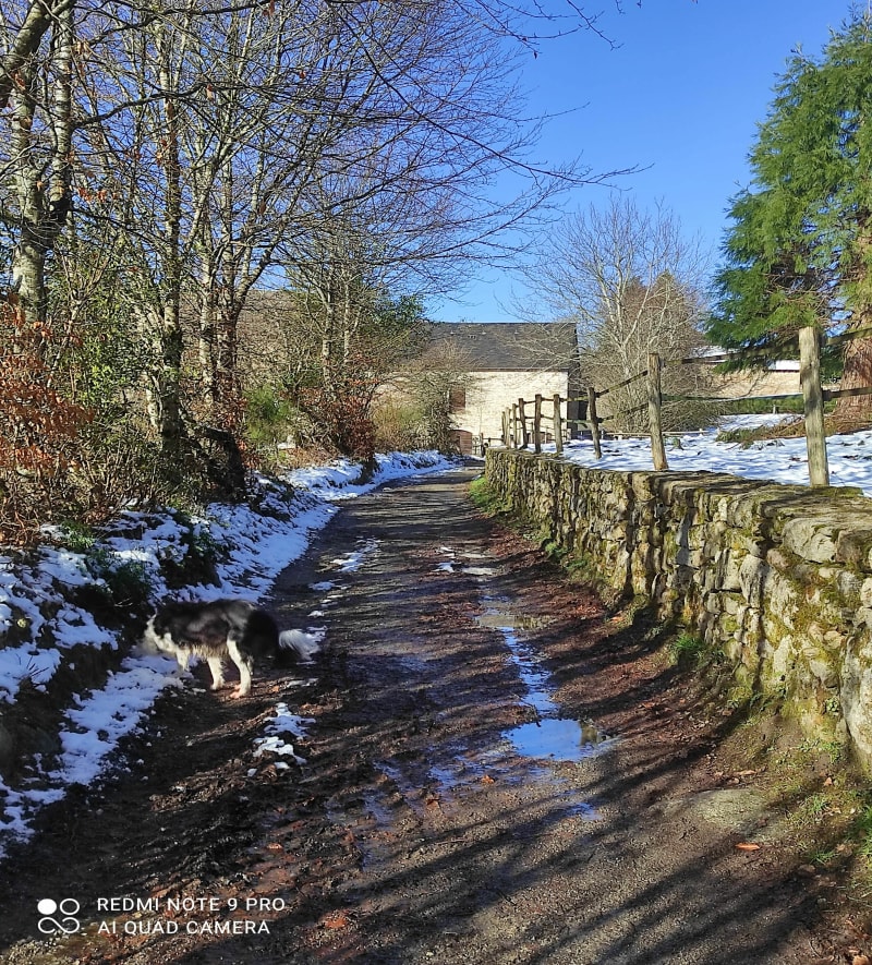Royère-de-Vassivière - Royère-de-Vassivière