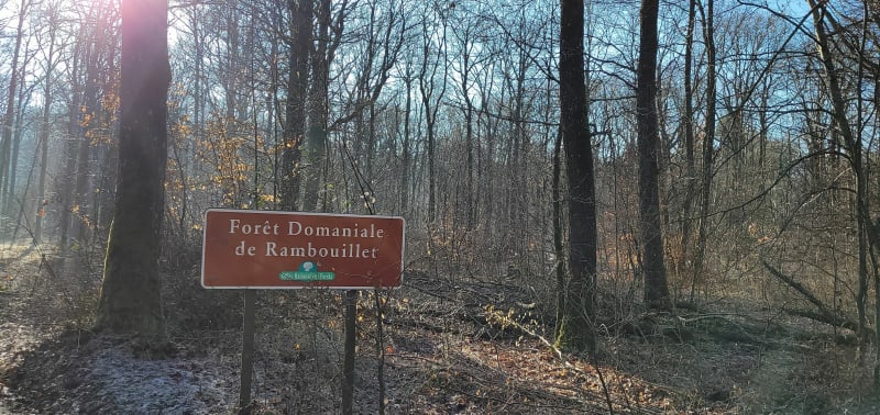 Chemin de la Rabière et Rochers d'Angennes - Poigny-la-Forêt