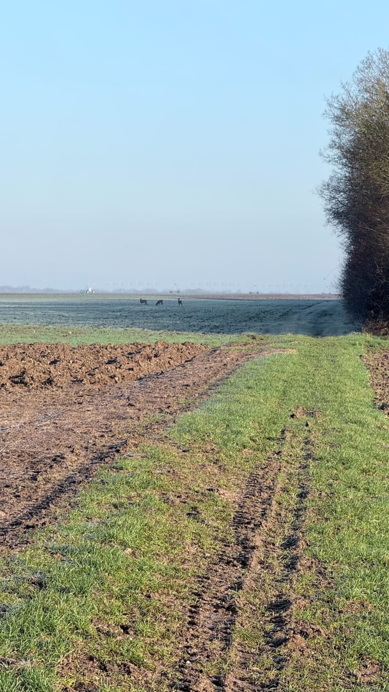 Belle petite balade autour de Gaubertin - Gaubertin