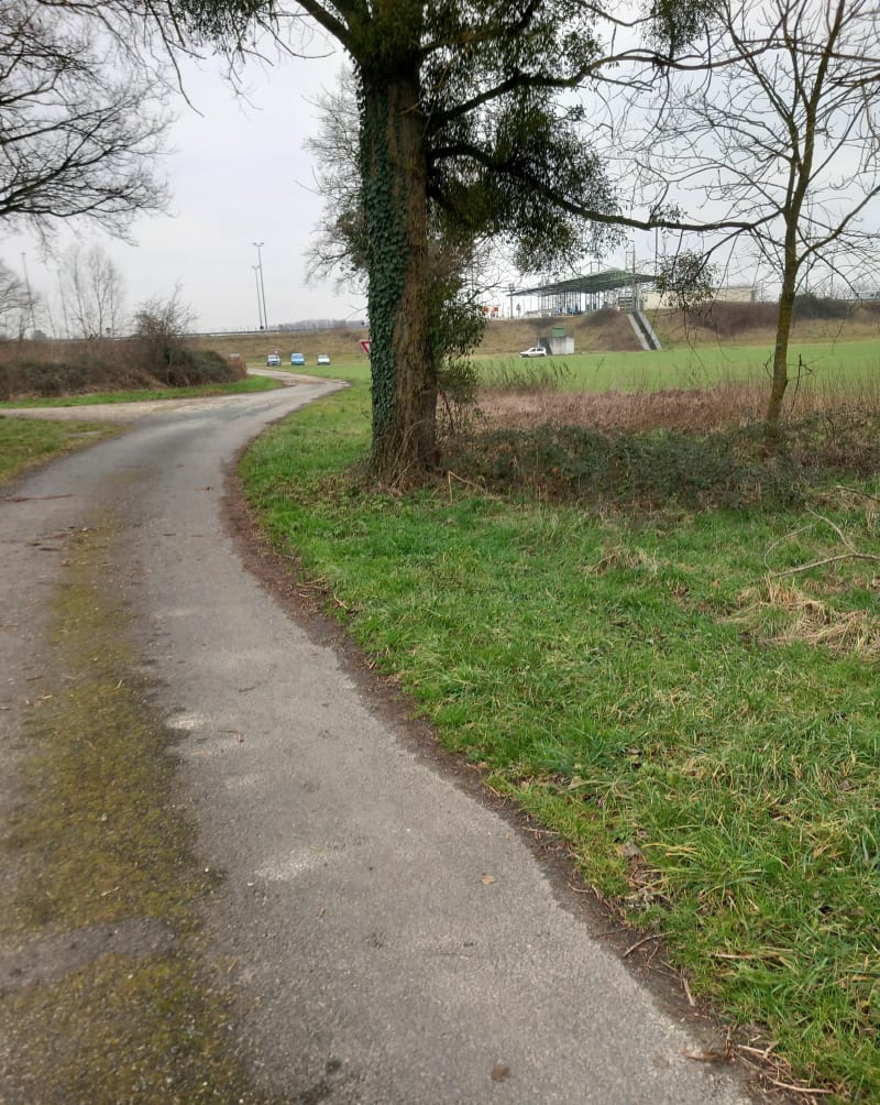 Promenade à Replonges, par Rippe Neuve - Crottet