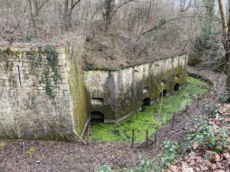 Tour du Findez et Fort de Bruissin - Francheville