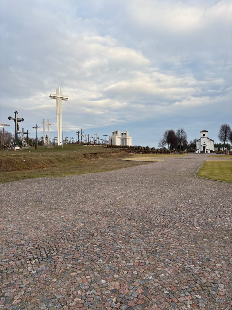 Krótka trasa przez las przy Woroszylach - Wasilków