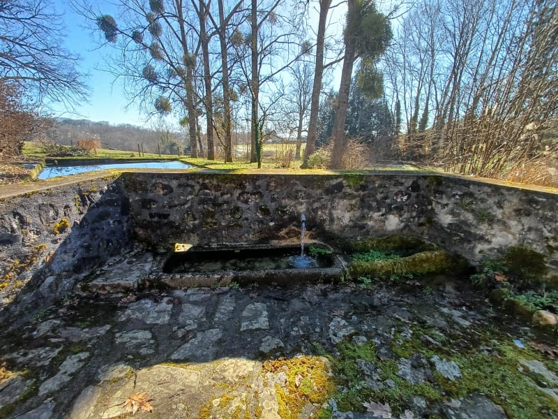 Un sentier à Couzeix - Couzeix
