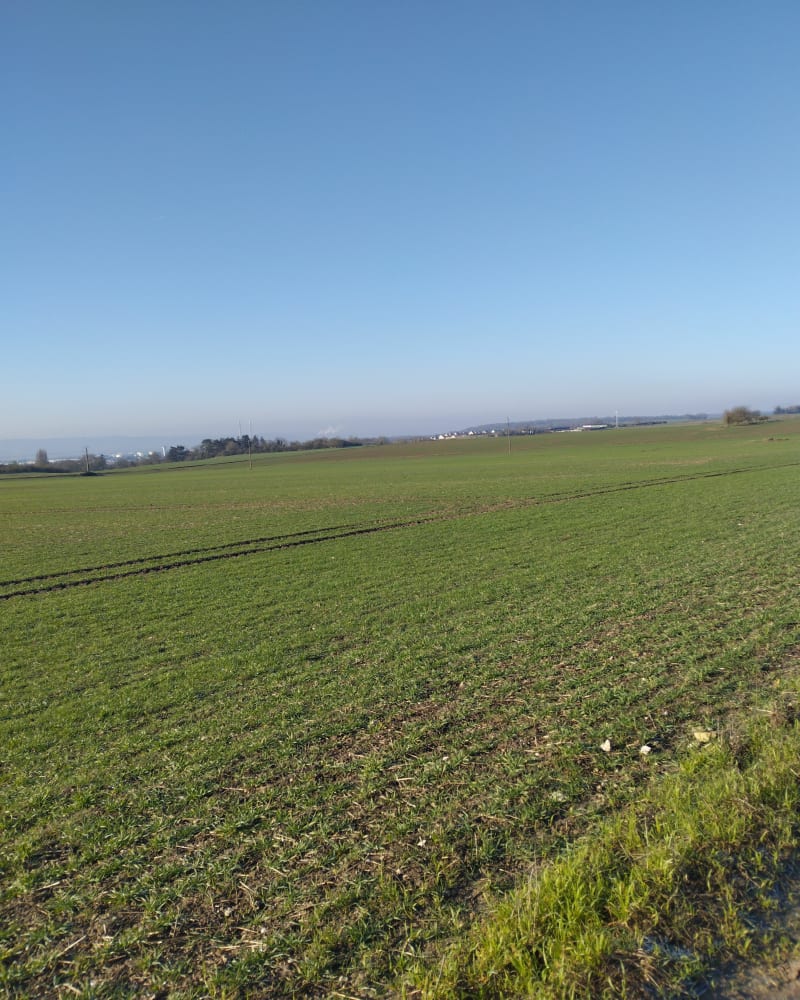 Balade à Juziers - Juziers