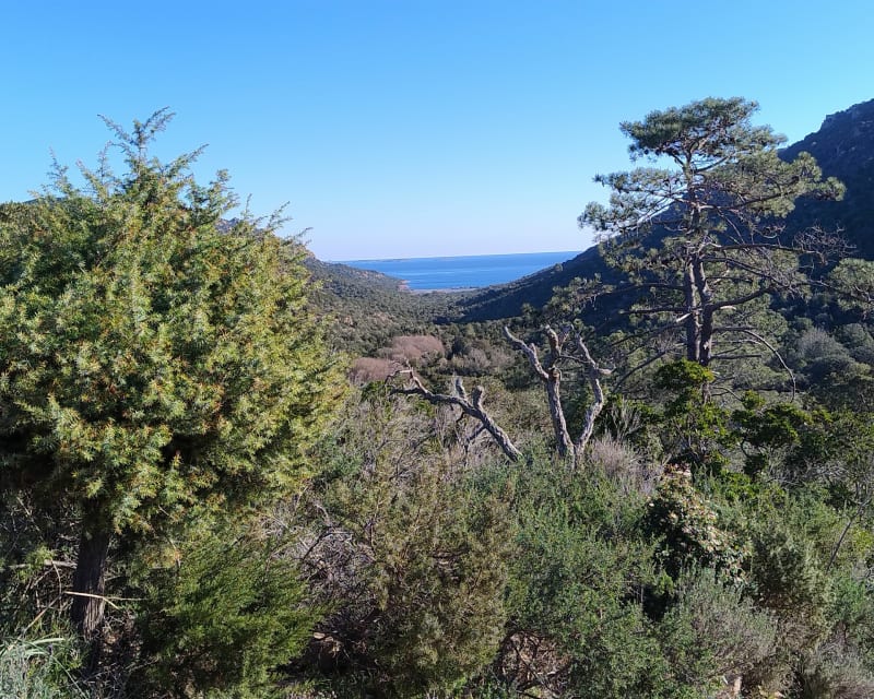 Plage de Porto Novo - Porto-Vecchio