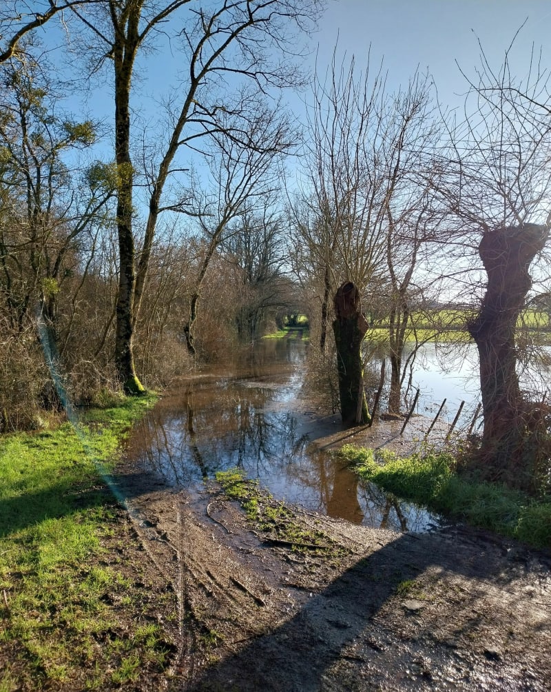 Décrassage aux alentours de Bouaye - Bouaye