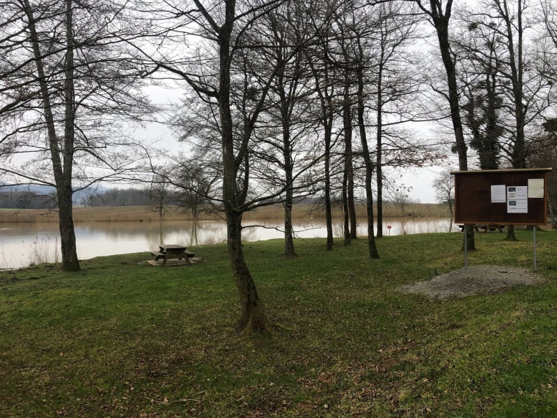 Tour de l’étang de Crève-Cœur - Beaufort-Orbagna