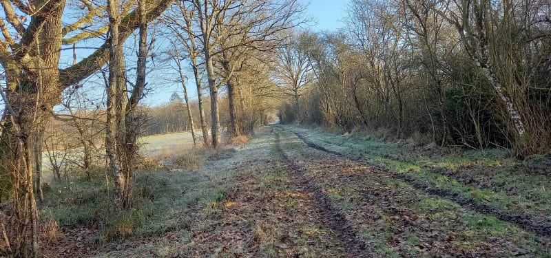 Boucle autour d'Ouzouer-sur-Trézée - Ouzouer-sur-Trézée