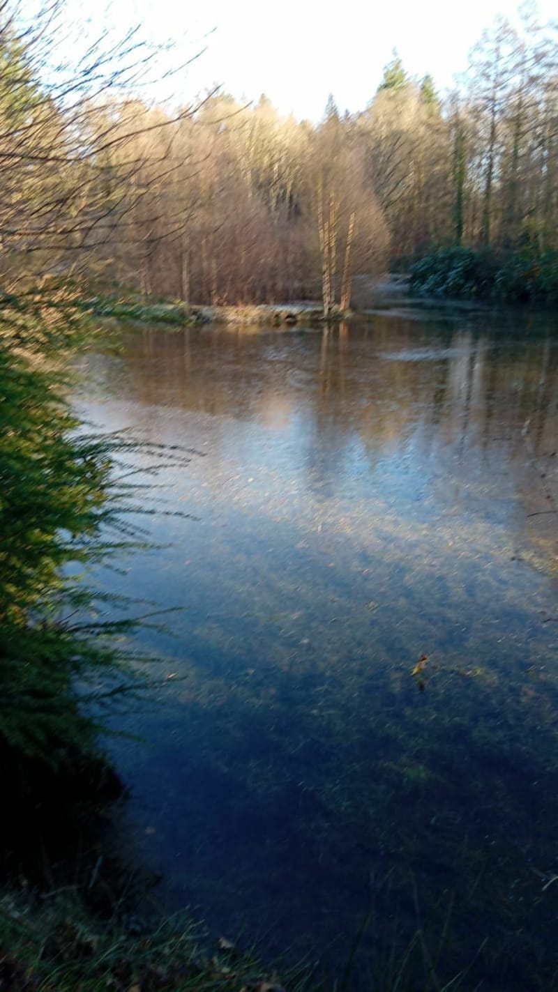 Forêt de St-Evroult et Notre-Dame-du-Bois - Saint-Evroult-Notre-Dame-du-Bois