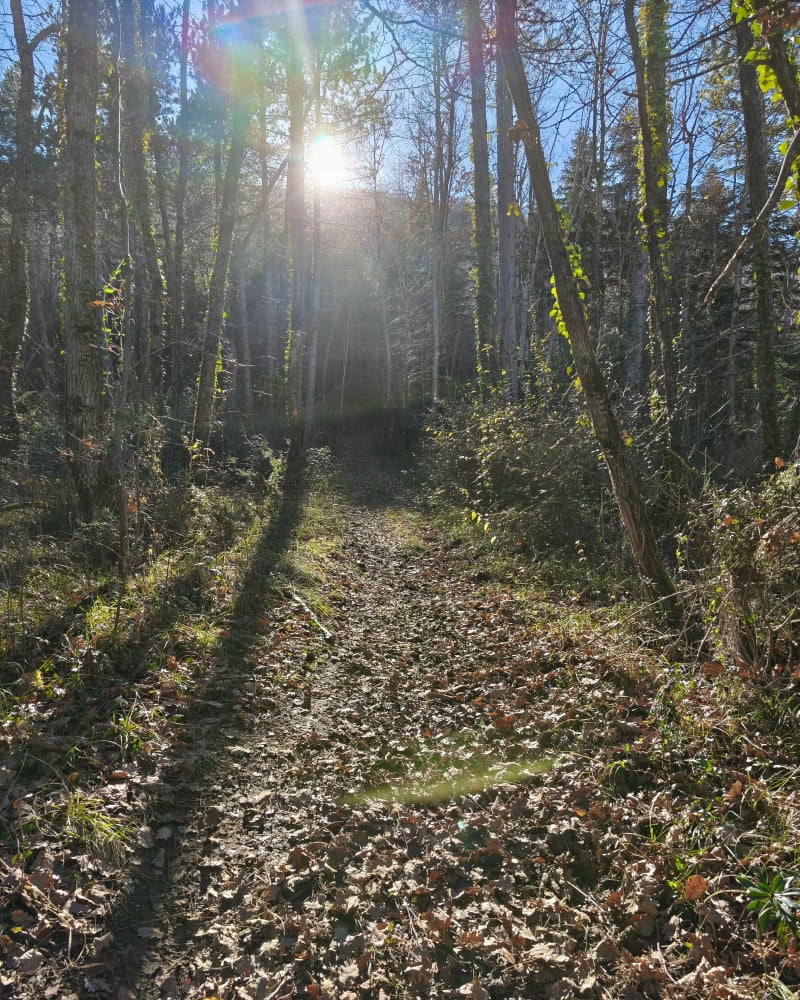 Belle journée au Peyrat - La Bastide-sur-l'Hers