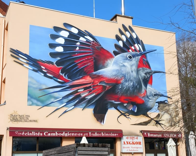 Le Street Art à Meylan par le Parc du Bachais - Meylan