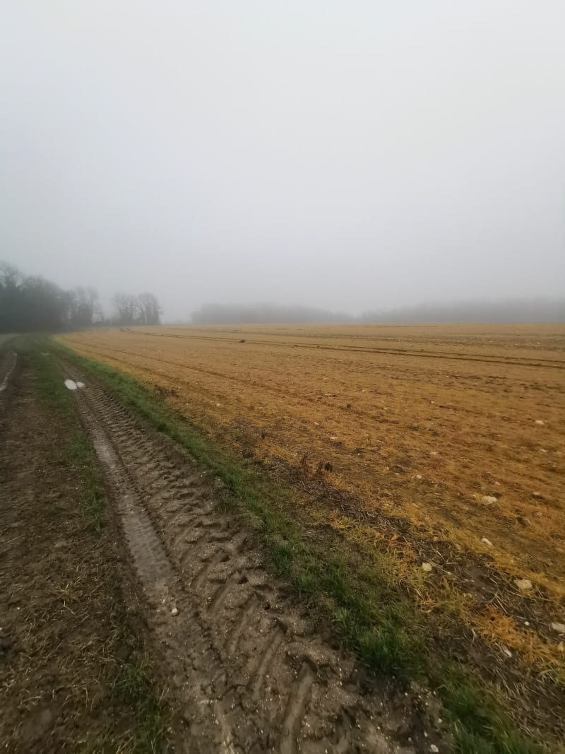 Des hauts d'Epone aux hauts d'Aulnay par champs et forêt - Épône