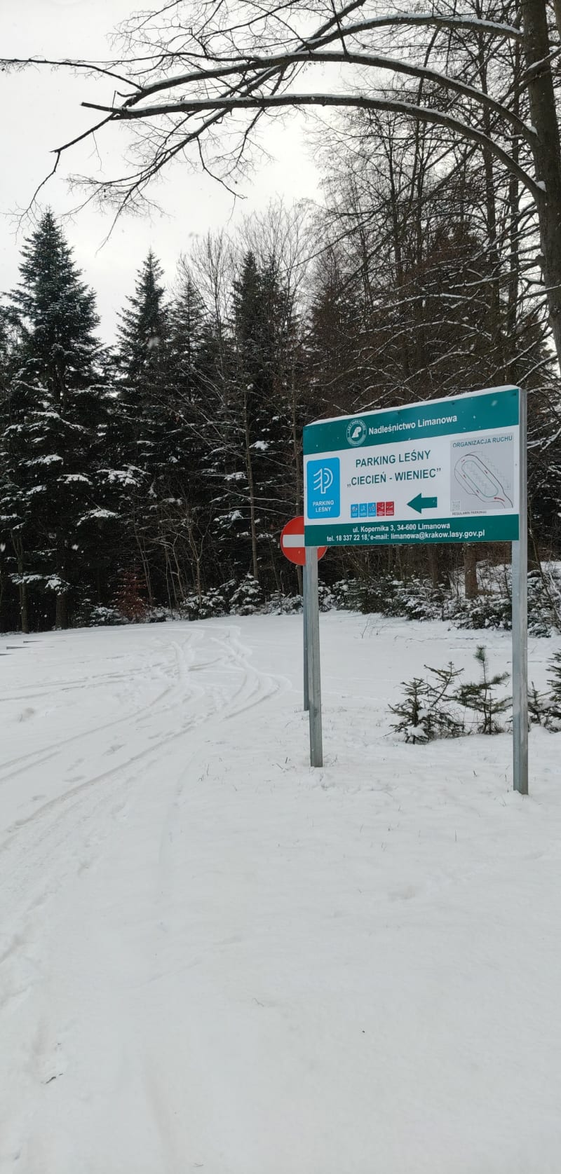Pętelka na Cięcień - szczyt Beskidu wyspowego - Pogorzany