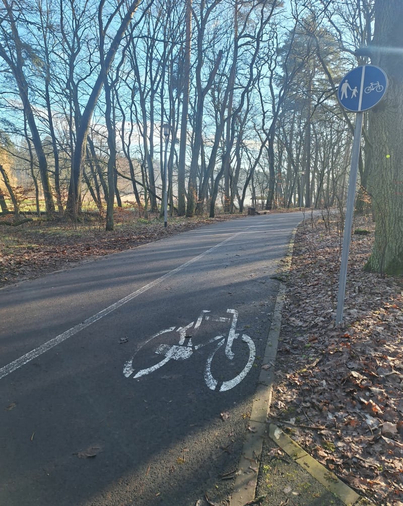 Las arkoński - Szczecin