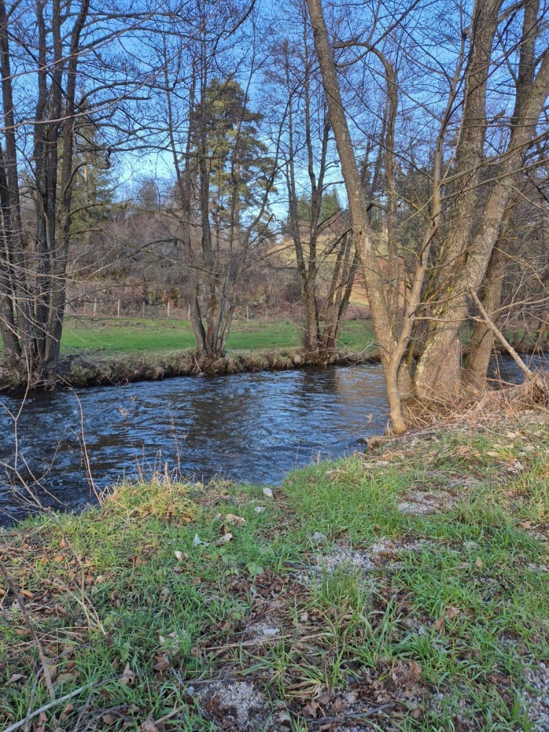 Autour du Moulin de Vial St-Pal-de-Mons, le Prège - Saint-Romain-Lachalm