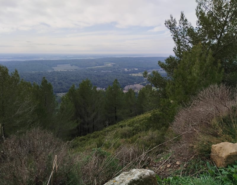 Le Mont Paon et Paradou - Paradou