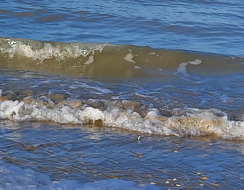 De Bray-Dunes à La Panne par la plage - Bray-Dunes