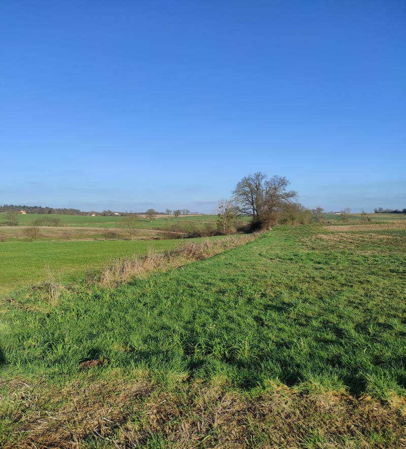 Balade sur petites routes de campagne à la Guillerie - Aigné