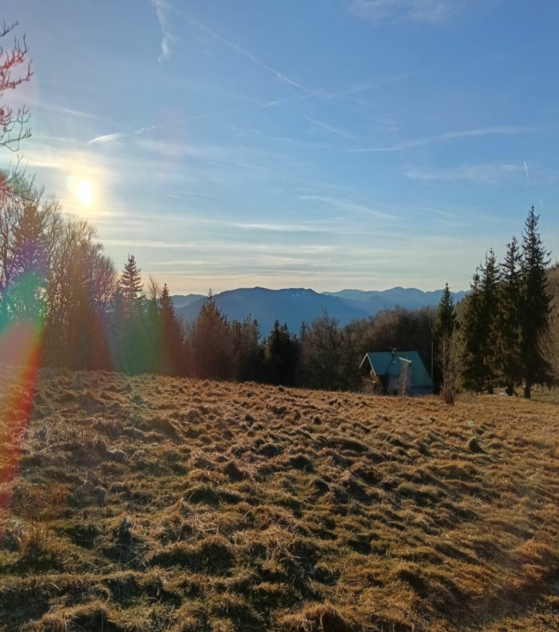 Forêt de Steinbach, en passant par le camp Turenne - Cernay