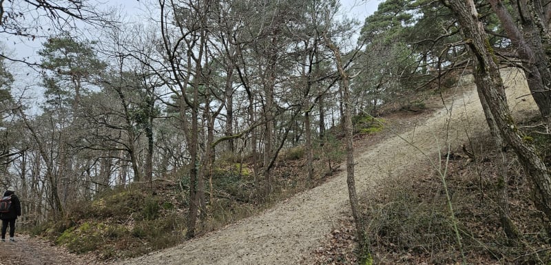 Boucle des tertres autour de Nainville les Roches et Soisy/E - Champcueil