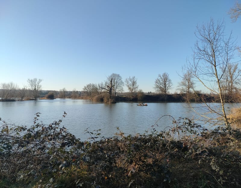 Boire des Carrés, à Saint-Rémy-en-Rollat - Saint-Rémy-en-Rollat