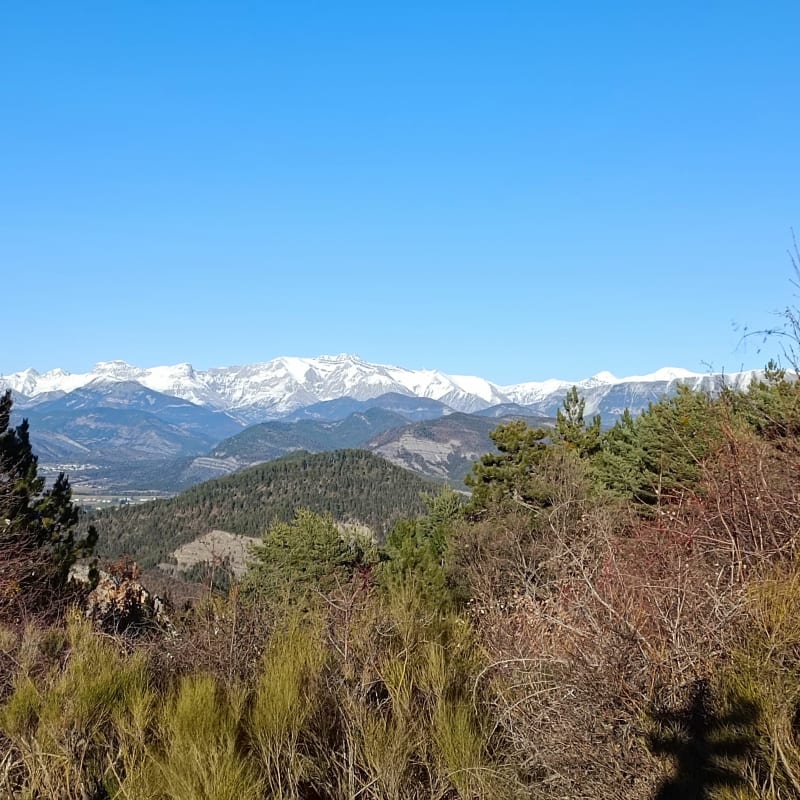 Petit tour sur les hauteurs de Digne les Bains - Digne-les-Bains