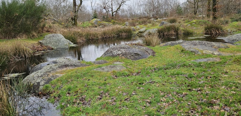 Boucle des Grands Avaux, et Tour du Buisson - Champcueil