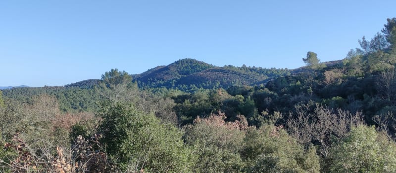 Chemin des Moines le Thoronet et Peygros - Le Thoronet