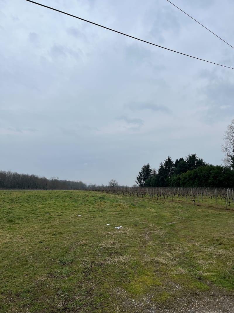 Bossuet commune de Saint Denis De Pile - Saint-Denis-de-Pile