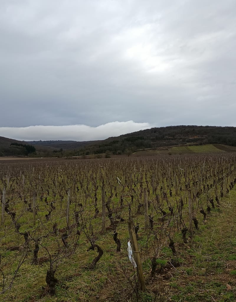Autour du plateau de Chenove - Chenôve