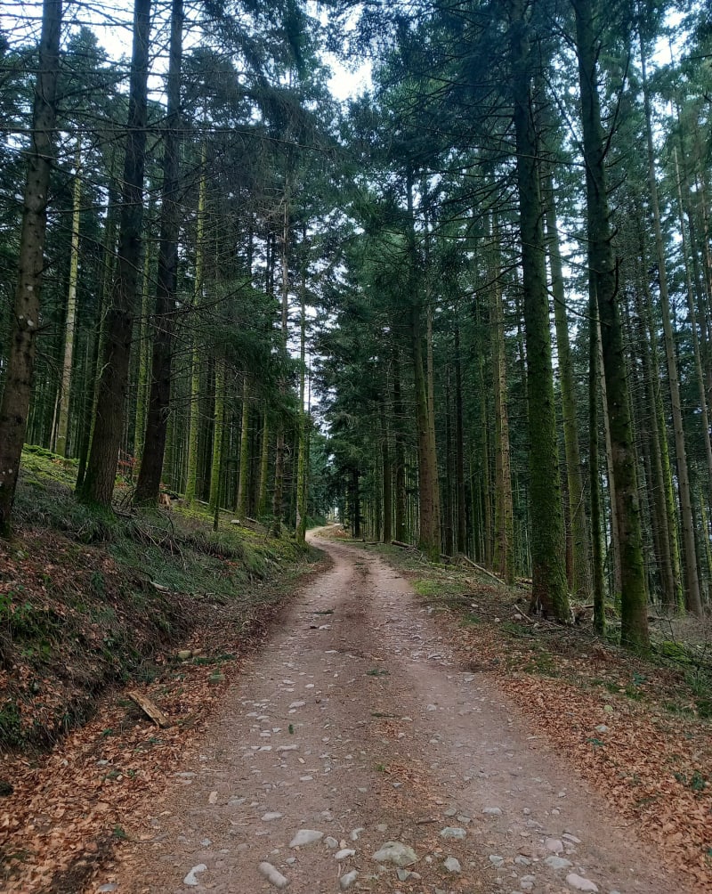Le Saint Mont, Pierre Kerlinquin, roche du Thin - Saint-Étienne-lès-Remiremont