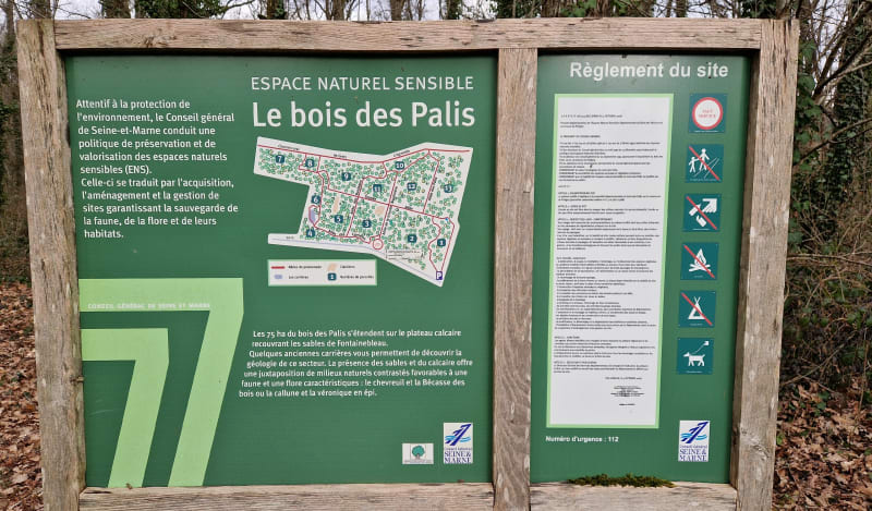 Escapade au bois des Palis - Poligny