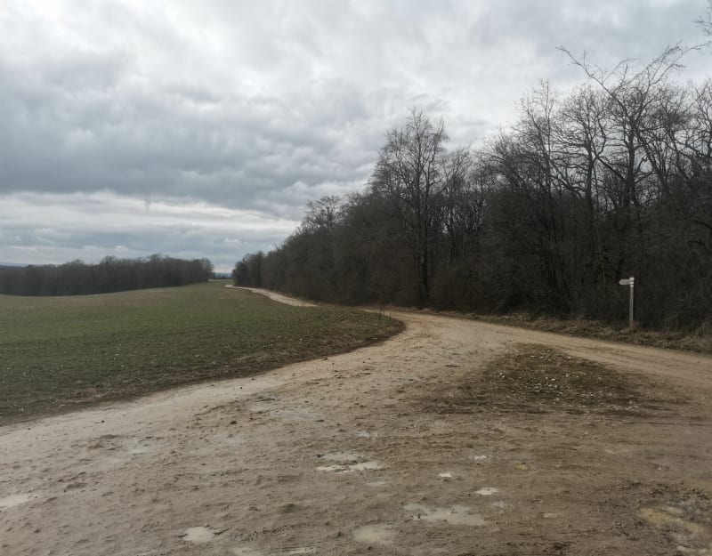 Plateau d'Eulmont - Eulmont