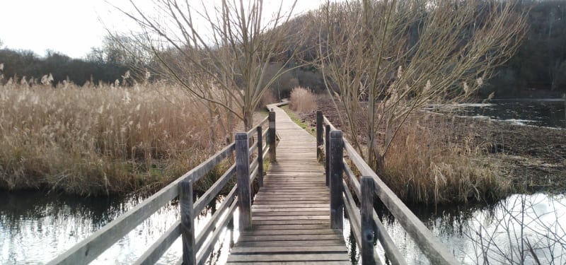 Sentier de découverte du marais d'Andryes - Andryes