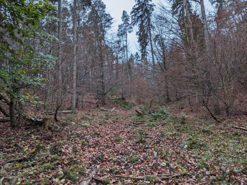 Duża pętla w Trójmiejskim Parku Krajobrazowym - Gdańsk