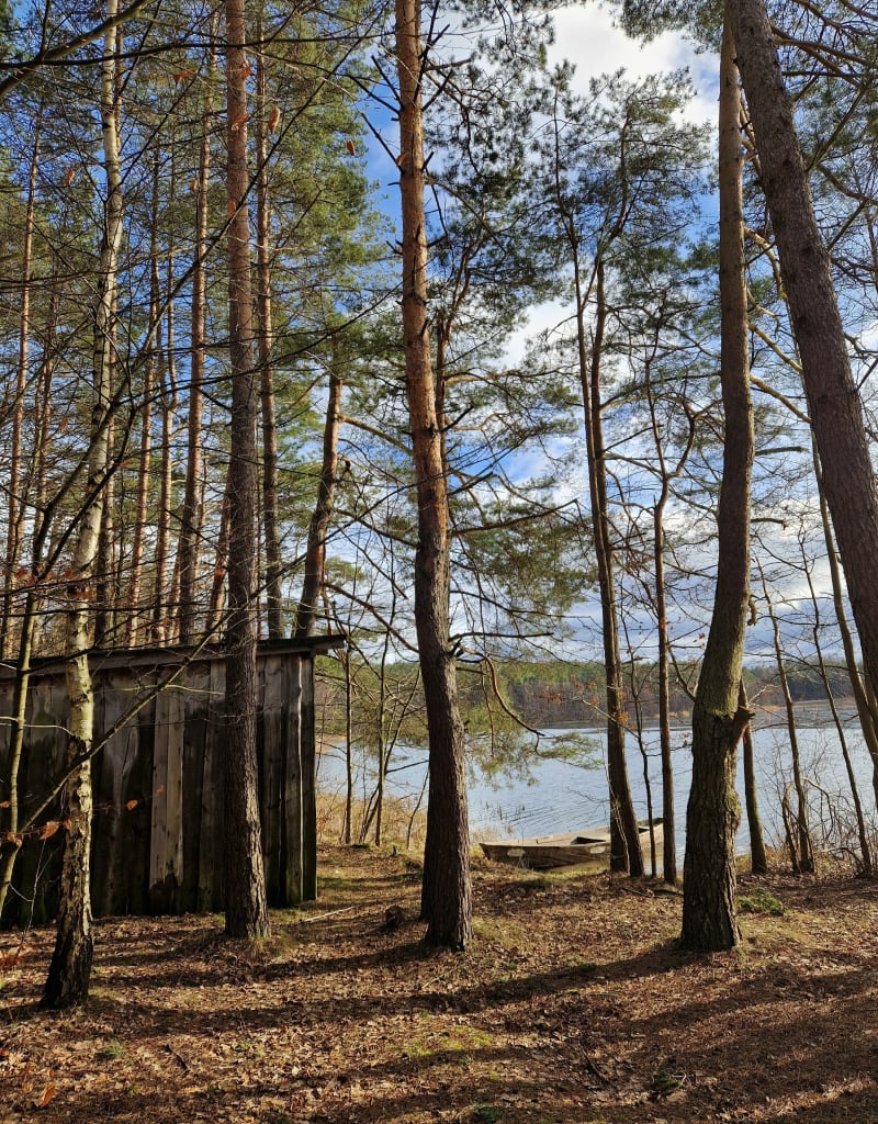 3,5 km leśne okolice Niesiołowic - Niesiołowice