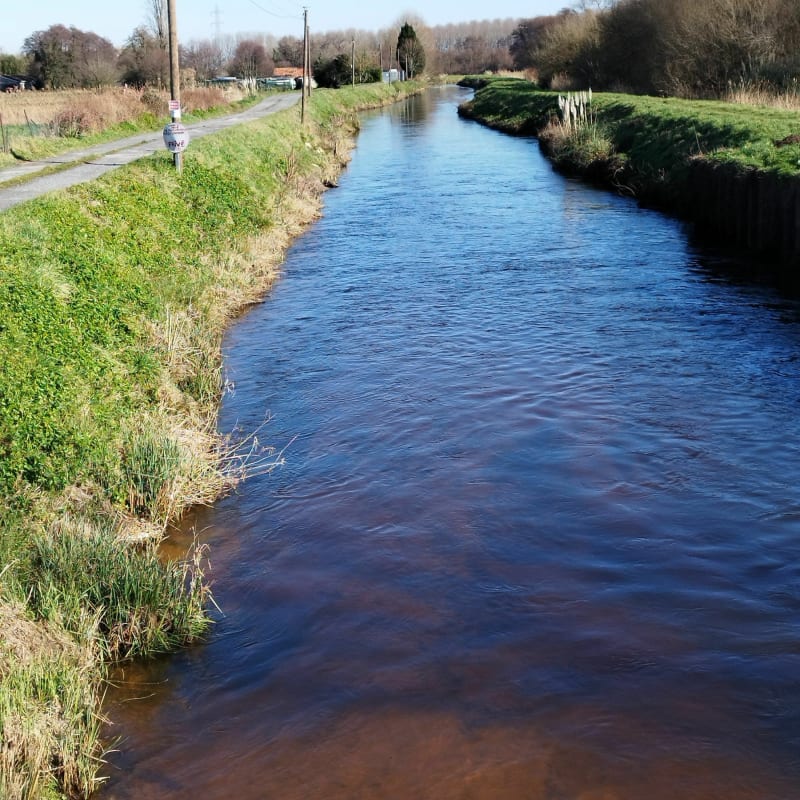 Jalles Eysines, Blanquefort - Blanquefort