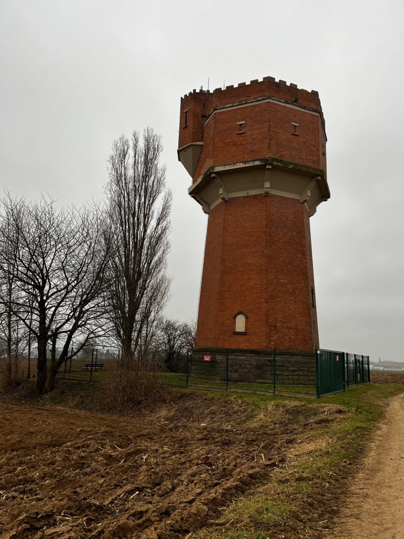 Boucle autour de Kolbsheim en passant au-dessus de l’A4 - Ernolsheim-Bruche