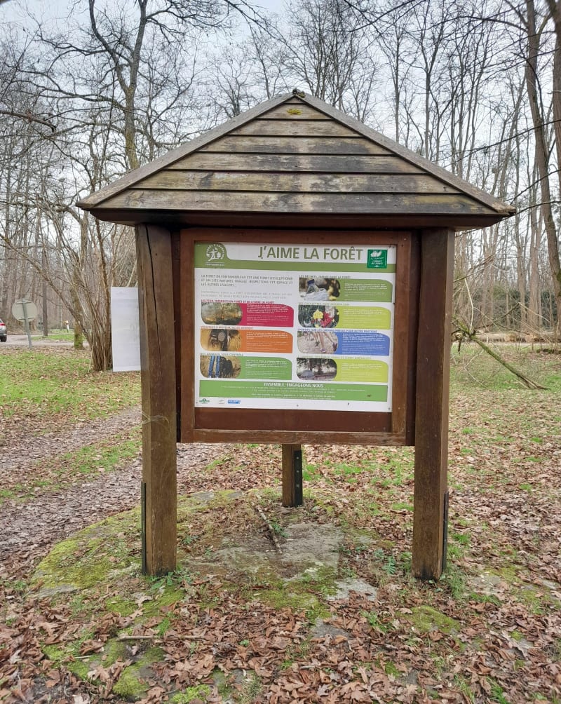 Coquibus: boucle à Milly la Forêt - Milly-la-Forêt