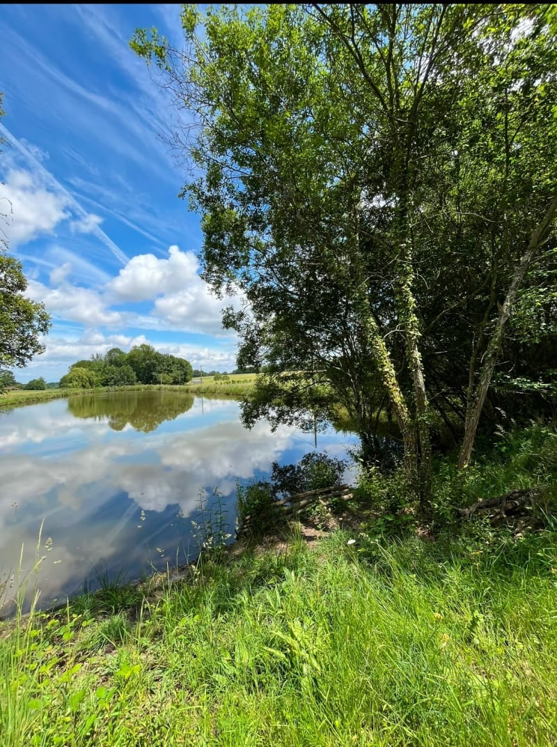 Grande Balade :Etang Chaupin St Aubin le Dépeint - Saint-Aubin-le-Dépeint