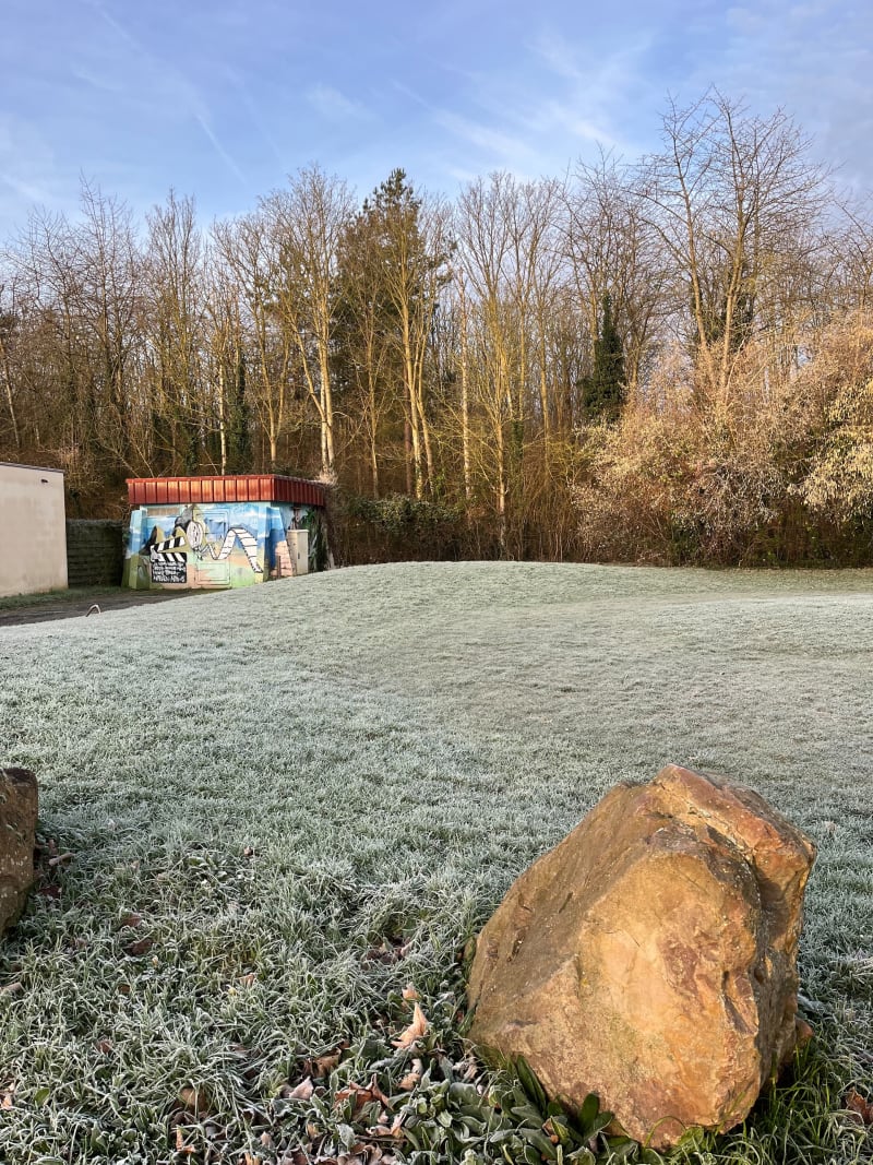 De Ifs bourg en passant par la forêt et la plaine de la Haie de Saule - Ifs