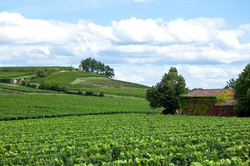 Sortie du côté de Martignas - Saint-Médard-en-Jalles