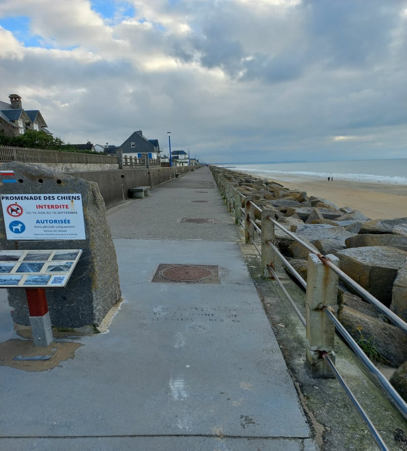 Tourneville sur mer et alentours plage et campagne - Tourneville-sur-Mer